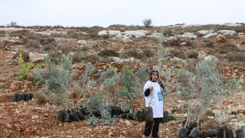 العربية لحماية الطبيعة